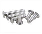 不銹鋼沉頭實(shí)心鉚釘